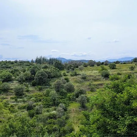 Gites Sud Ardeche Lou Quieou Uzer  Room photo